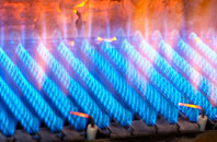 Mackney gas fired boilers